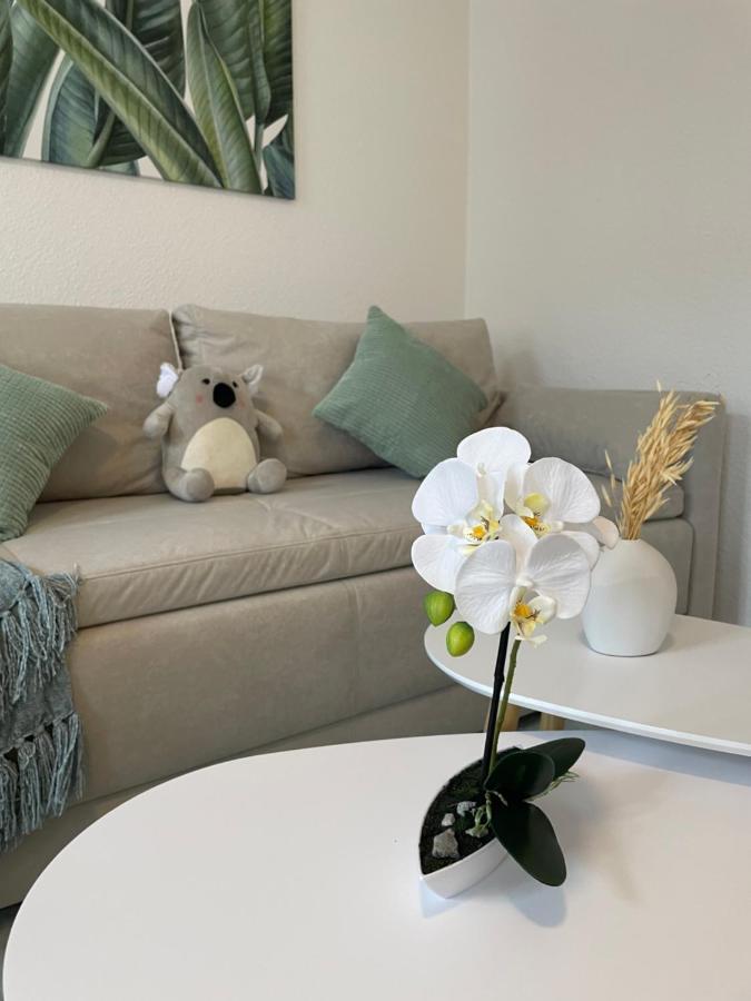 Lucky Stays Ls07 - Vollausstattung - Zentrum - Aufzug - Grosse Kueche - 2 Zimmer - Smart-Tv Maagdenburg Buitenkant foto